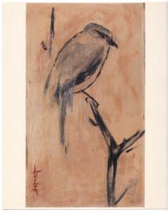 Winterbird by Louise Brooks